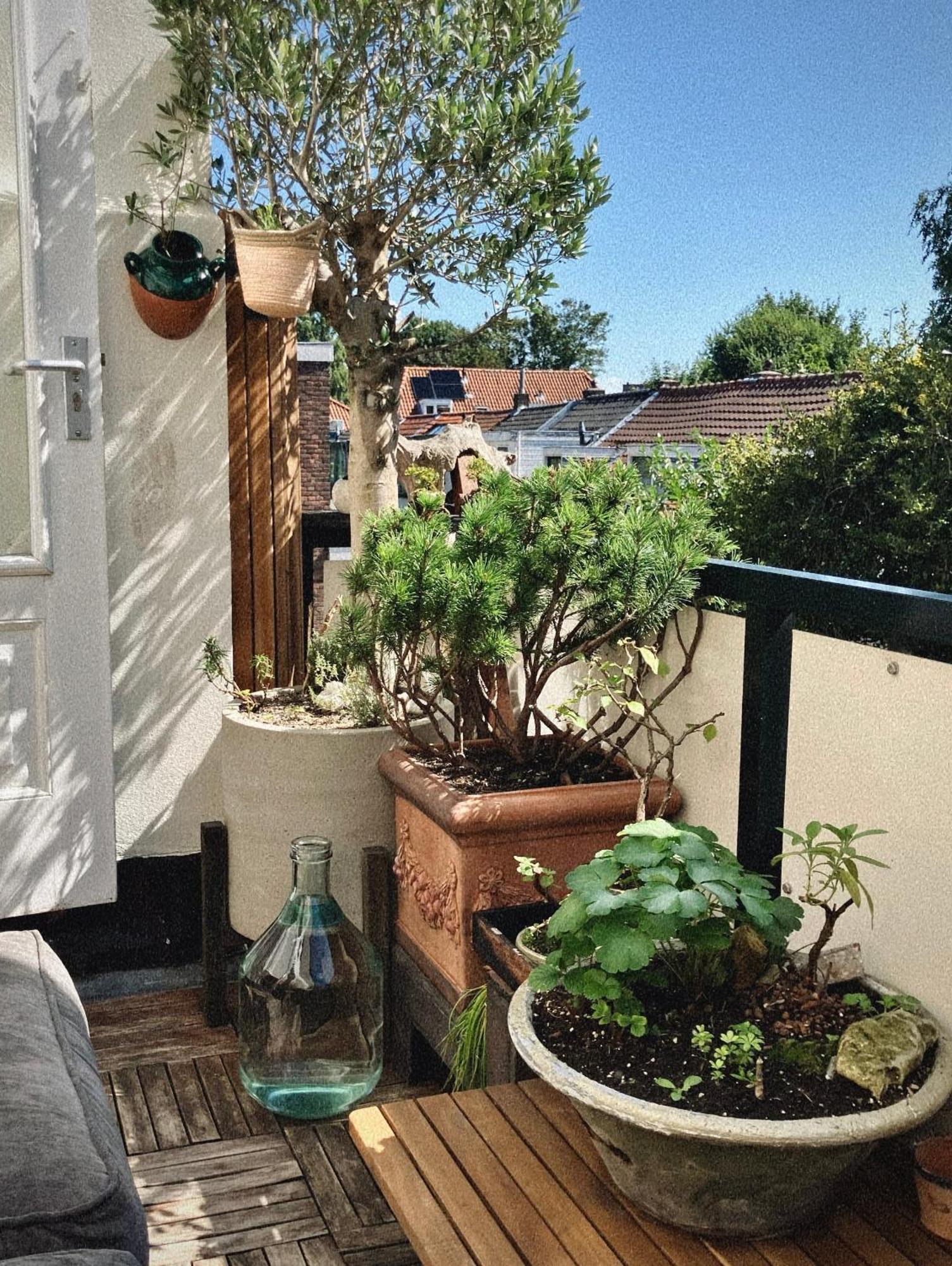 Lovely, 1898 Jugendstil Design Apartment, Old Haarlem City Centre, Fully Renovated With Parkview Near Amsterdam And Zandvoort, Bloemendaal Beach Eksteriør billede